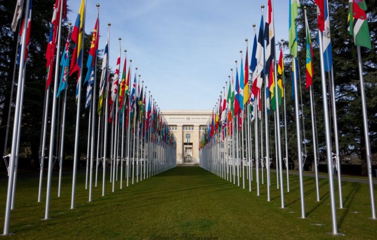The Irrelevant UN