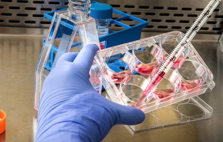 Is Your Government Ready For Another Pandemic?