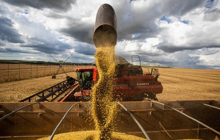 World Hunger and the War in Ukraine