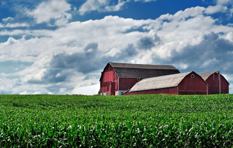 Destroying Canada’s Farms, for What?