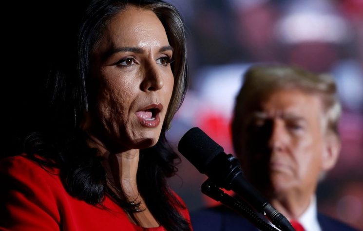 Tulsi Gabbard, the new U.S. intel chief… a brave call to debunk NATO’s war propaganda in Ukraine