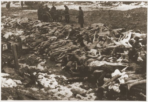 Corpses of Soviet prisoners of war. Location and date unknown. https://encyclopedia.ushmm.org/content/ru/gallery/mosaic-of-victims-an-overview-photographs