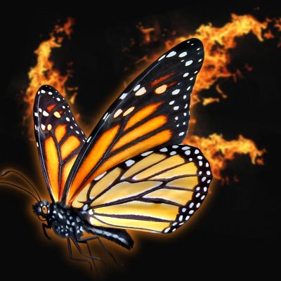 In the West, devaluation of life goes mainstream