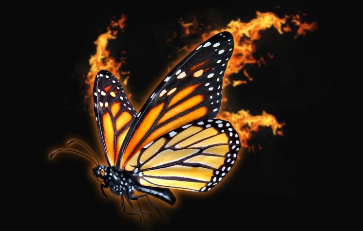 In the West, devaluation of life goes mainstream