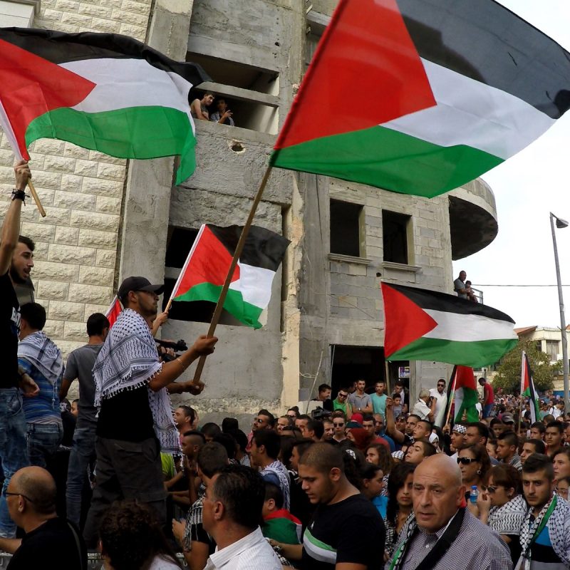 Across the world, popular self-organization is taking on the role of bourgeois governments