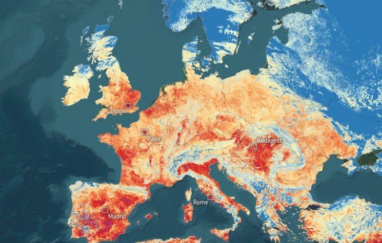 Heat waves, brain waves