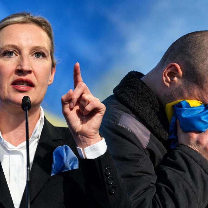 Illegal migrants responsible for 47% of all violent crime in German state of Bavaria